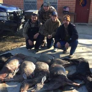 Meet your Posher, Larry